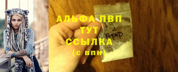 индика Карпинск