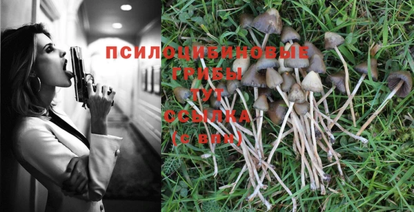 бошки Алексин