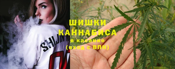бошки Алексин