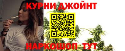 гашик Шахты
