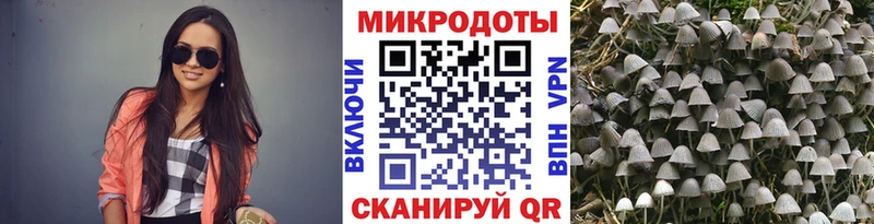 Галлюциногенные грибы мухоморы купить Шали